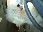 DSC00389.jpg